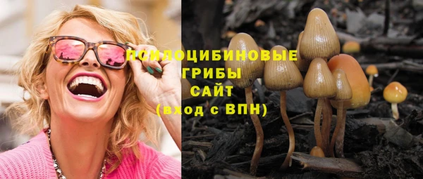 мескалин Арсеньев