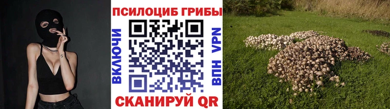 Галлюциногенные грибы GOLDEN TEACHER  купить наркотики цена  блэк спрут ССЫЛКА  Новомичуринск 